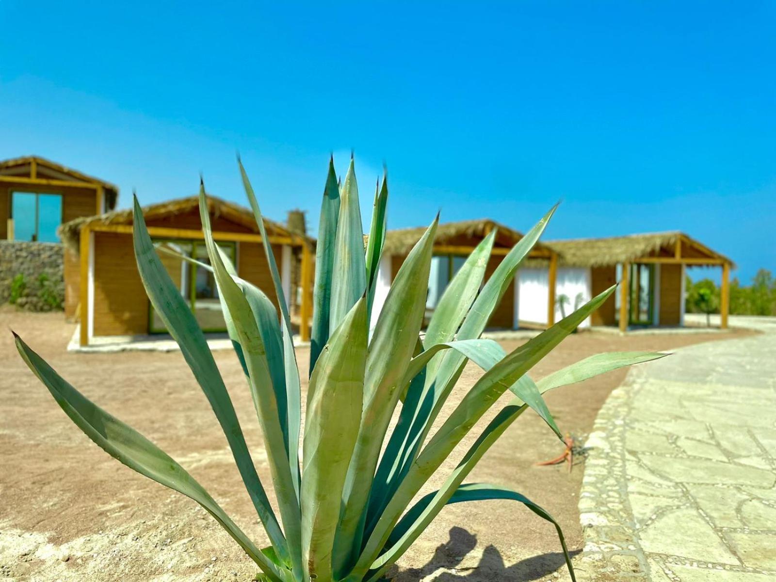 Ananda Beach Camp Nuweiba‘ el Muzeinah Exterior foto